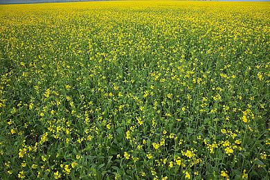 《魔咒之地》全新实机视频介绍魔法战斗机制